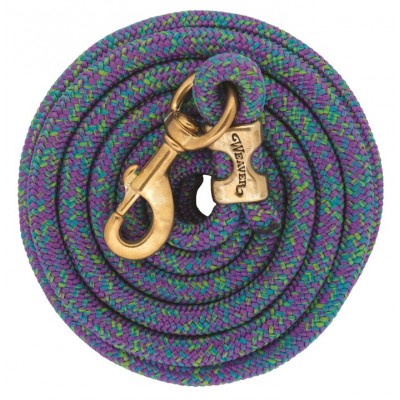 Laisse Weaver 10' mosaïque mauve et lime  