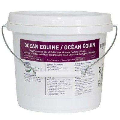 Océan Équin 3 kg