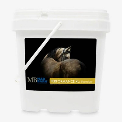 Mad Barn Performance XL électrolytes 5kg 