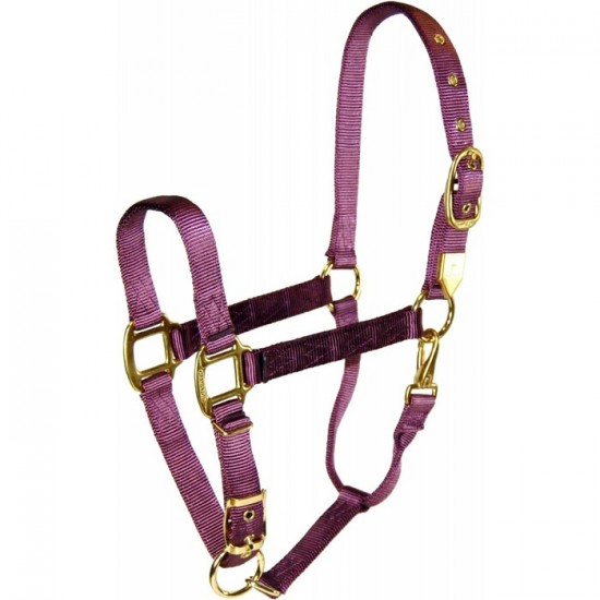 Licou Hamilton plum cheval 