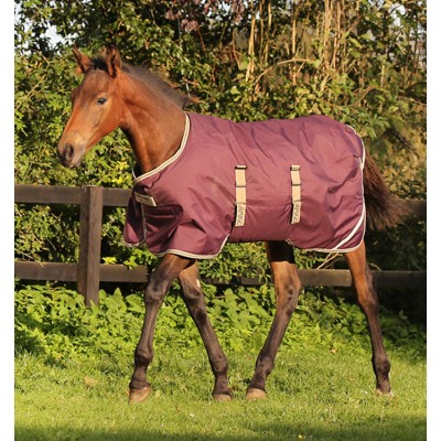 Couverture d'hiver Amigo fig 200 g poulain 