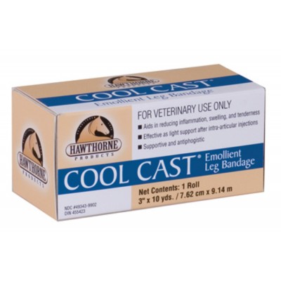 Cool Cast Hawthorne