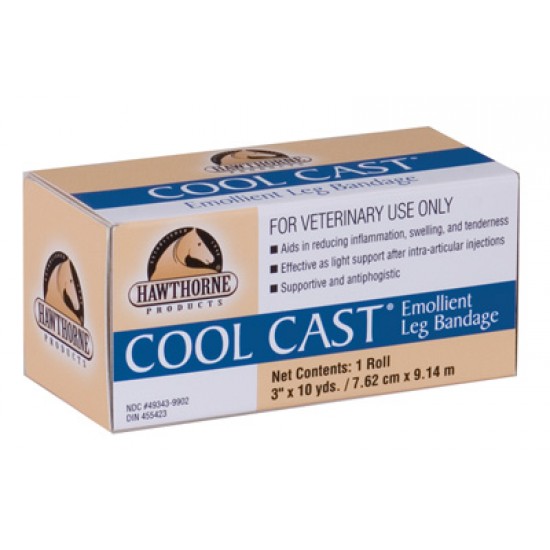 Cool Cast Hawthorne