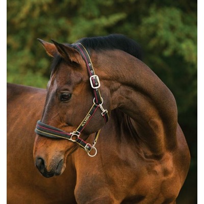 Licou Horseware Rambo rouge or et noir 