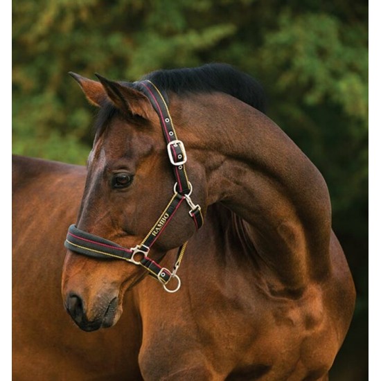 Licou Horseware Rambo rouge or et noir 