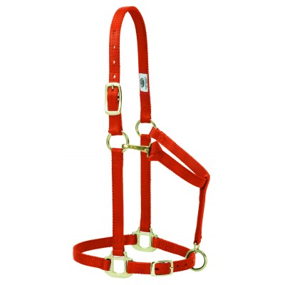Licou Weaver Arabe 