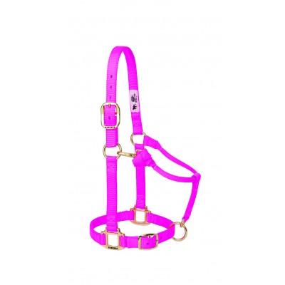 Licou Weaver Small 