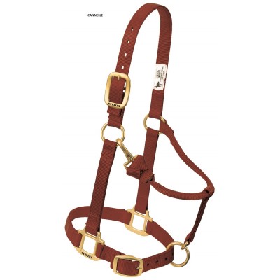 Licou Weaver Small 