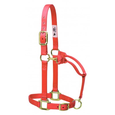 Licou Weaver Small 