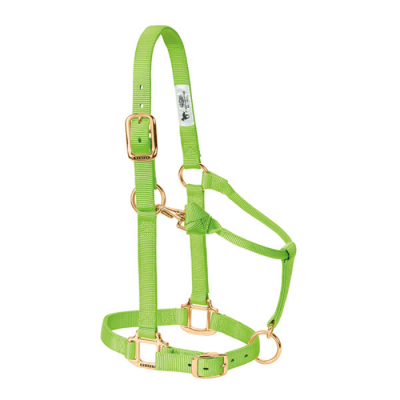 Licou Weaver Small 
