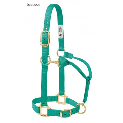 Licou Weaver CHEVAL