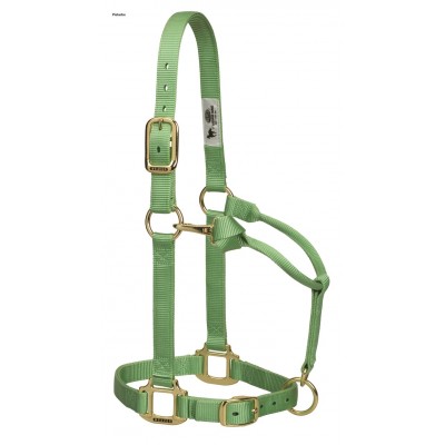 Licou Weaver CHEVAL