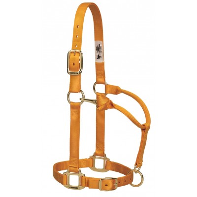 Licou Weaver CHEVAL