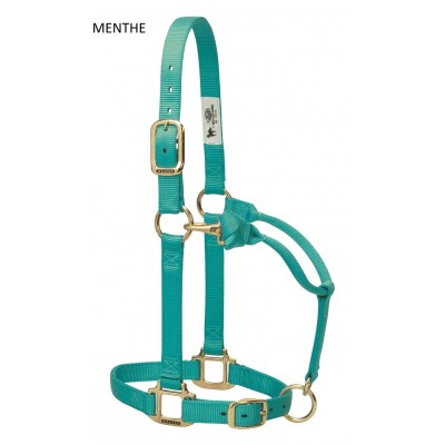 Licou Weaver CHEVAL