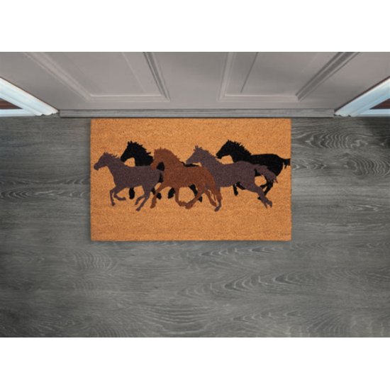 Tapis d'entrée chevaux 30X18