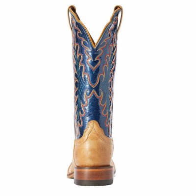 Botte Ariat Darbie bleu femme 