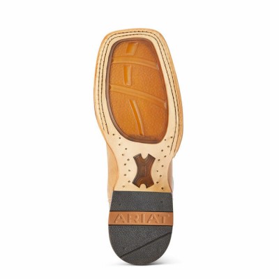 Botte Ariat Darbie bleu femme 