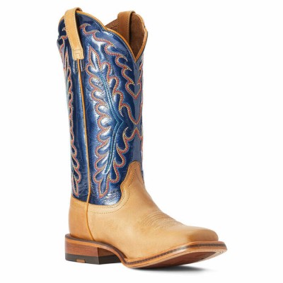 Botte Ariat Darbie bleu femme 