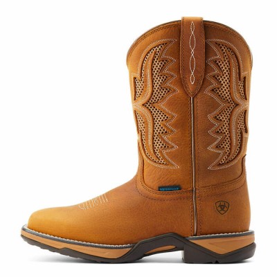 Botte Ariat Anthem VentTEK H20 femme 