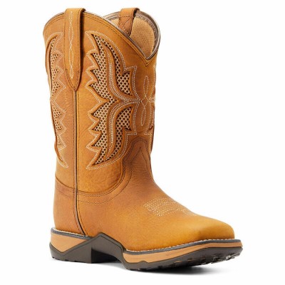 Botte Ariat Anthem VentTEK H20 femme 