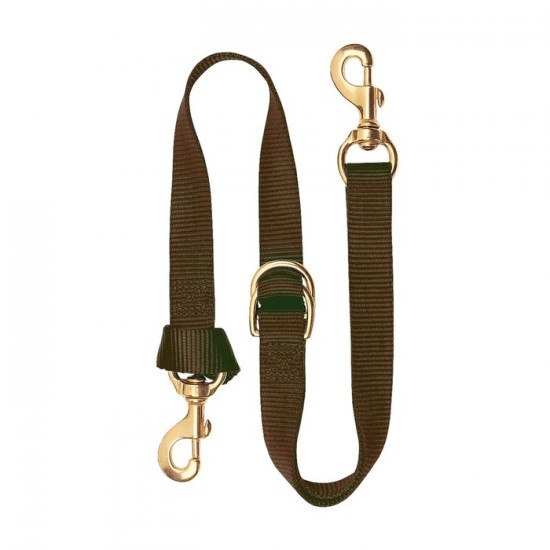 Tie down Weaver nylon brun
