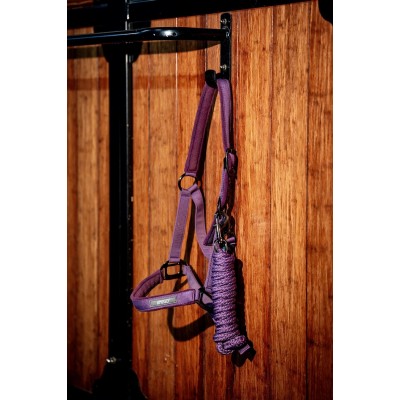 Licou et laisse Horseware Amigo mauve 