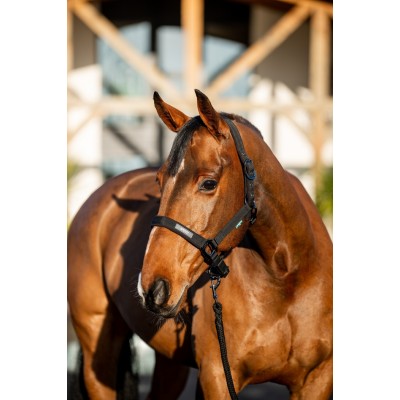 Licou et laisse Horseware Amigo noir