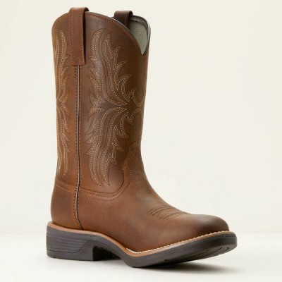 Botte Ariat Ridgeback bout rond brune homme 