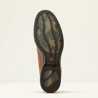 Botte Ariat Ridgeback bout rond brune homme 
