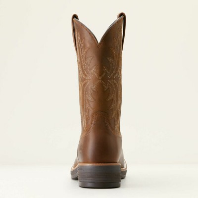 Botte Ariat Ridgeback bout rond brune homme 