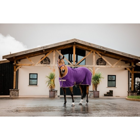 Cooler Horseware Amigo mauve et taupe 