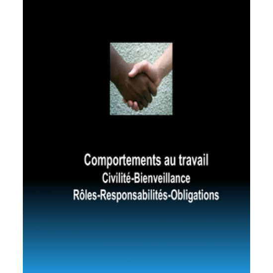 Formations - Comportements au travail