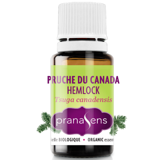 Huile essentielle Pruche du Canada biologique