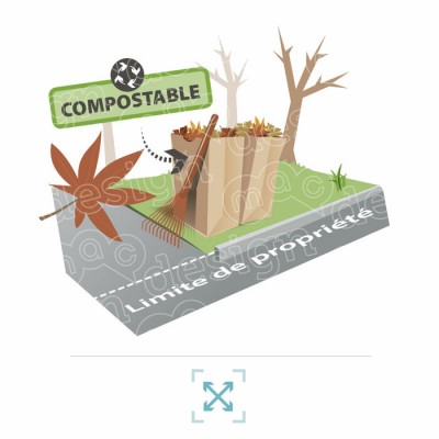 Collecte de feuilles