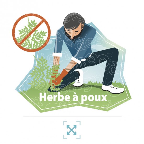 Herbe à poux