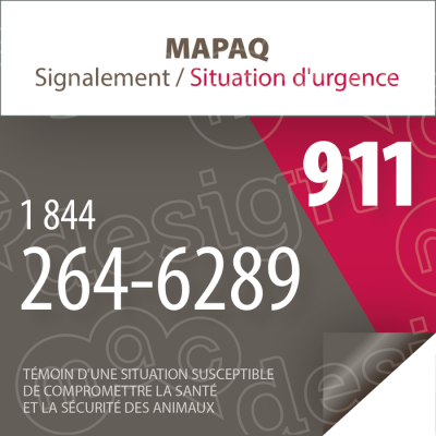 Numéros d'urgence