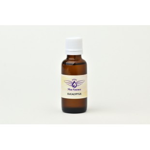 Eucalyptus radiata - 30ml