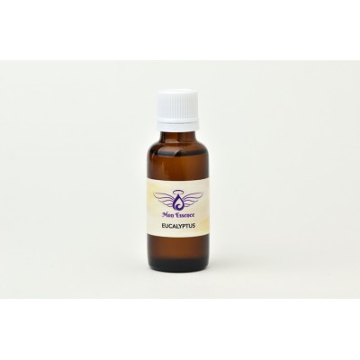 Eucalyptus radiata - 30ml