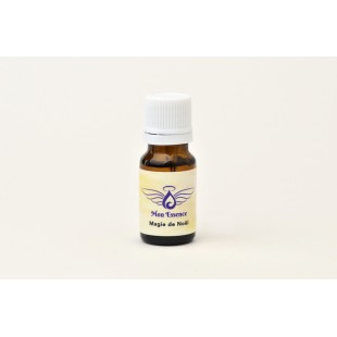 Magie de Noël - 10ml