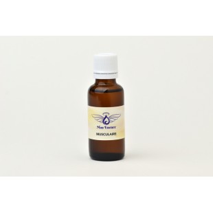 Musculaire - 30ml