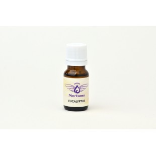 Eucalyptus radiata - 10ml
