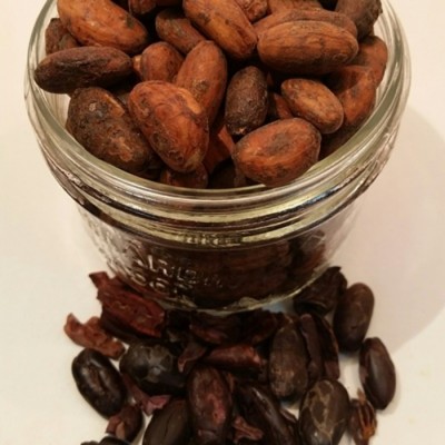 Fèves de cacao cru biologique et équitable -...