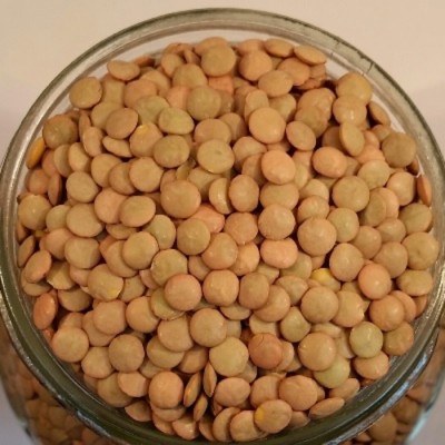 Lentilles vertes biologiques, Canada - 100gr