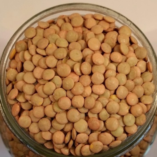 Lentilles vertes biologiques, Canada - 25 kg