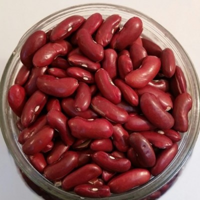 Haricots rognons rouges biologiques  - 2.5 kg