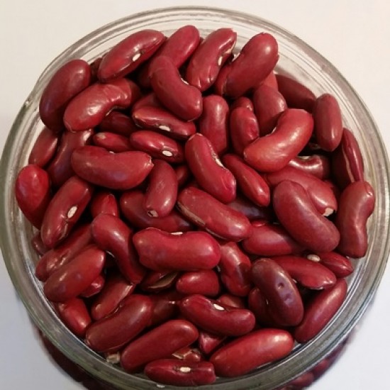 Haricots rognons rouges biologiques QC - 10 kg