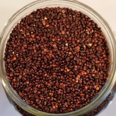 Quinoa noir biologique - 11.34kg