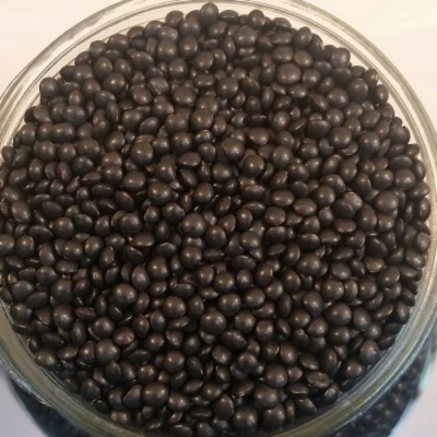 Lentilles Béluga noires biologiques QC - 100gr 