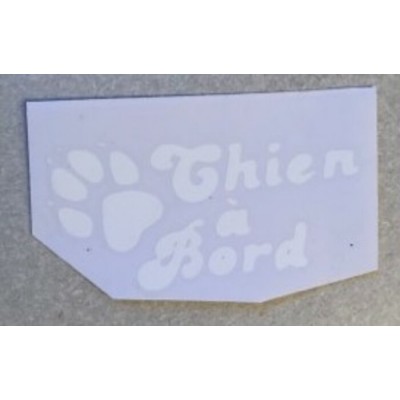 Chien, Chat à bord 