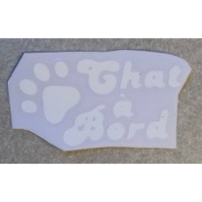 Chien, Chat à bord 